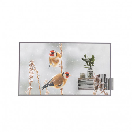 LG infotabloo 55EW5P 55" landscape/portrait 18/7 webOS 8ms 178° 600cd/m², läbipaistev
