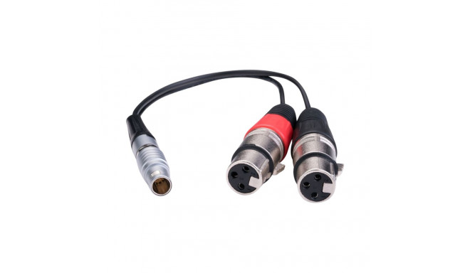 Atomos XLR (input only) Balanced XLR breakout cable