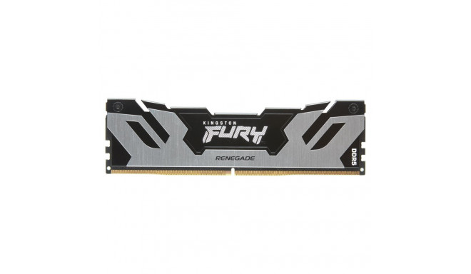 "24GB 8000MT/S CL38 DIMM"