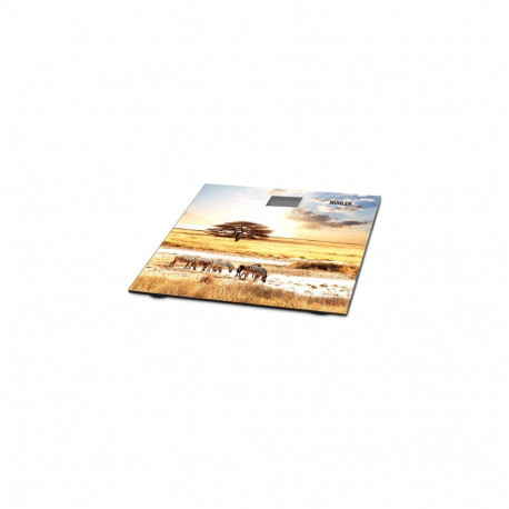 Muhler MSC-3077 Bathroom Scale