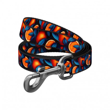 Pet Leash - Waudog Nylon Dog Leash 122cm Orange Pattern
