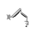 Raidsonic kuni 32" IB-MS503-T hõbedane/must