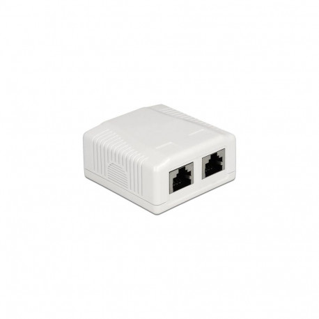 DeLOCK 86197 socket-outlet 2 x RJ-45 White