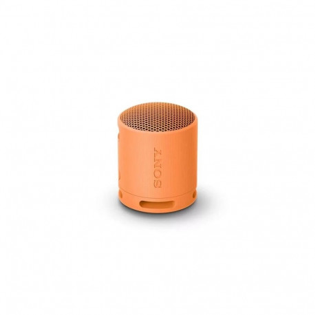 Sony SRS-XB100 Bluetooth Portable Speaker