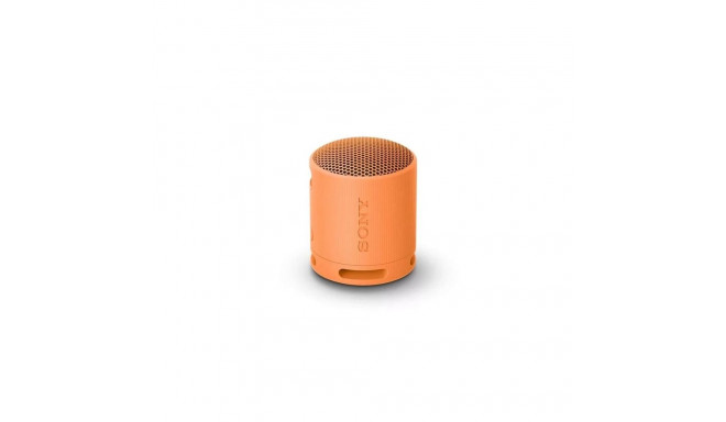 Sony SRS-XB100 Bluetooth Portable Speaker