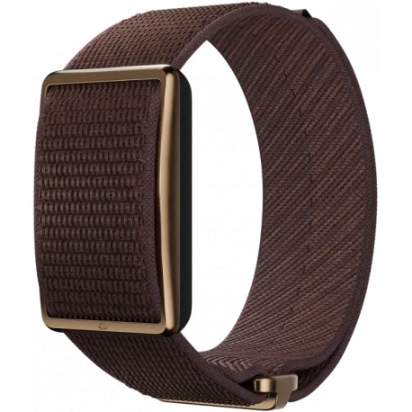 Polar Loop S-L, pruun