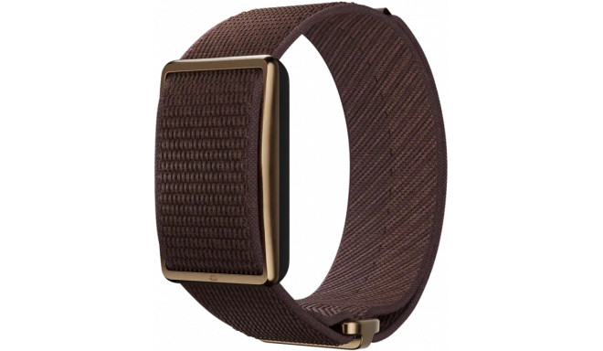 Polar Loop S-L, pruun