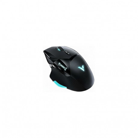 Rapoo optiline mängurihiir VT900