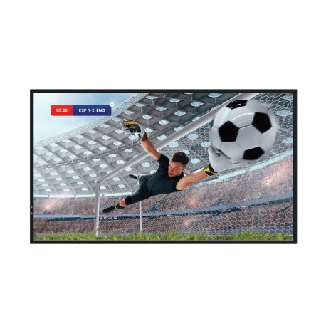 Monitor 55DM66D 55inches 4K UHD IPS DS 24/7