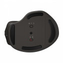 Mouse Classic 780M UltraFast Wireless - B8YX3AA#ABB