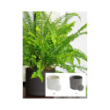 CERAMIC POT WALEC STRUCTUR D13 GREY