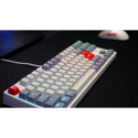 XTRFY K4V2 (gray, DE layout, Cherry MX2A Red)