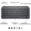 Logitech MX Keys Mini for Business (graphite, DE layout)
