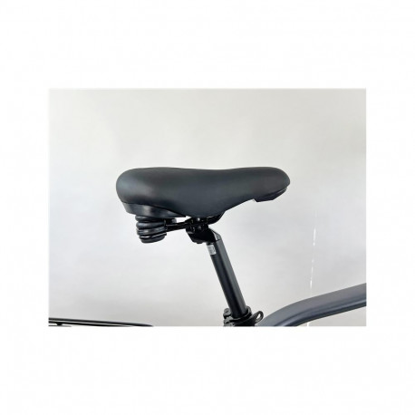 E-BIKE URBAN T.SHENG 54 28