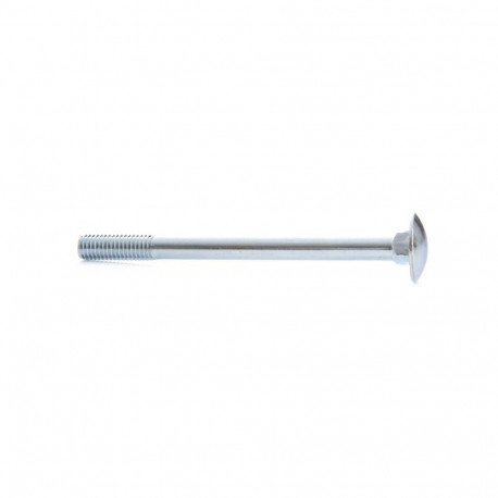 Polt DIN603 M8X100 ZN 6tk