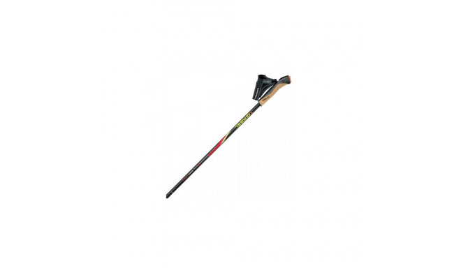 Gabel FX-75 Snake Carbon 110cm