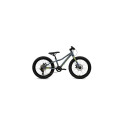 Batch Bicycles 20" MTB CHAMELEON