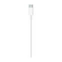 "Apple USB-C auf Lightning Kabel 1M Retail"