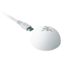 "Razer Maus Deathadder V4 Pro weiß"