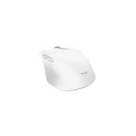 Trust Niven mouse Office Right-hand RF Wireless + Bluetooth 3200 DPI