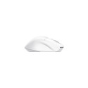 Trust Niven mouse Office Right-hand RF Wireless + Bluetooth 3200 DPI