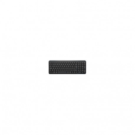 "Logitech Wireless Keyboard K250 Graphite (US)"
