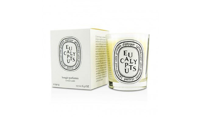 Diptyque eukalüpti küünal 190g