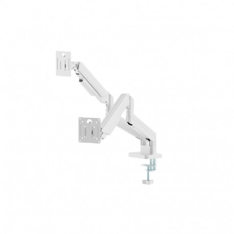 Desk arm for two monitors, adjustable, from 17 to 32 inches, load capacity up to 10 kg, white