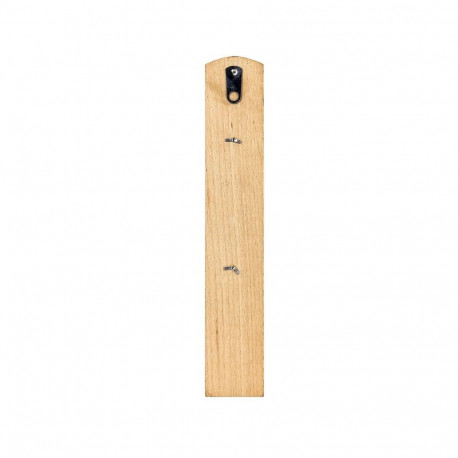 OUTDOOR/INDOOR THERMOMETER ZLM-006