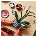 "LEGO Creator Botanicals Collection Orchidee 10311"