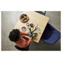 "LEGO Creator Botanicals Collection Orchidee 10311"