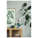 "LEGO Creator Botanicals Collection Orchidee 10311"
