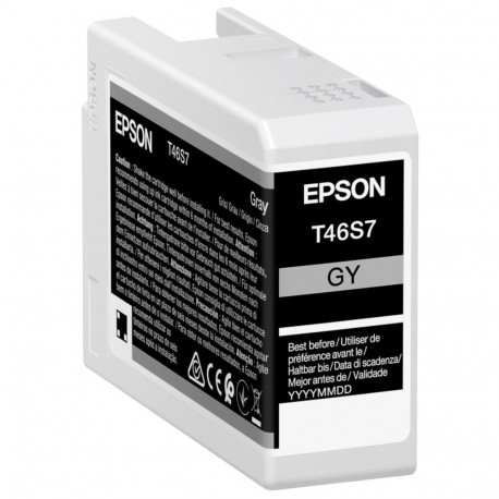 Epson ink gray T46S7 (C13T46S700) (Ultrachrome PRO 10)