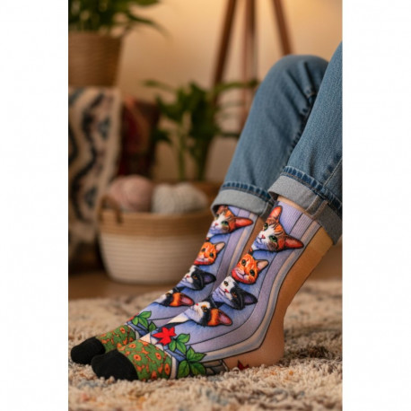 SOKISAHTEL KALAMAJA kirjude kassidega sokid 444, 446