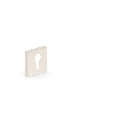 ESCHUTCHEON FOR CYLINDER NICKLE