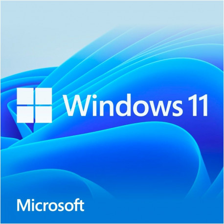 Windows 11 Home 64-Bit DVD-ROM, prantsuse