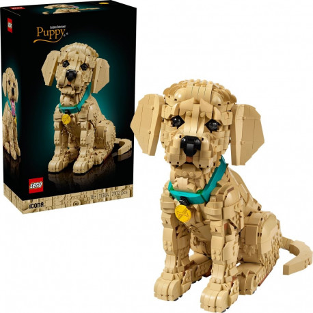 Icons kutsikas 11384 golden retriiveri