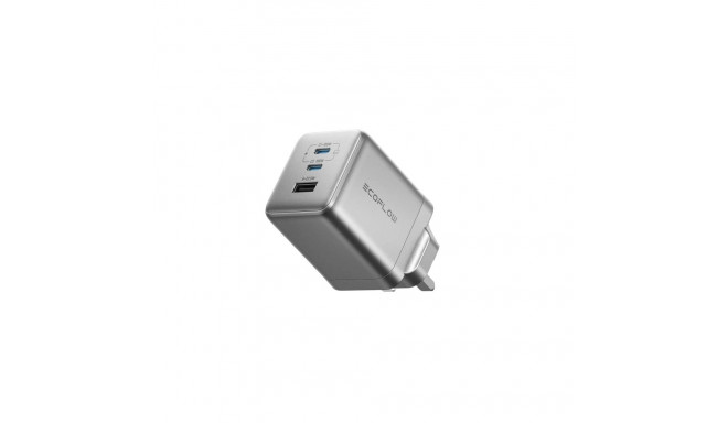 EcoFlow RAPID PRO/100W Charger