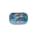Pinal ZIPIT Clean Top ''Dinosaur''