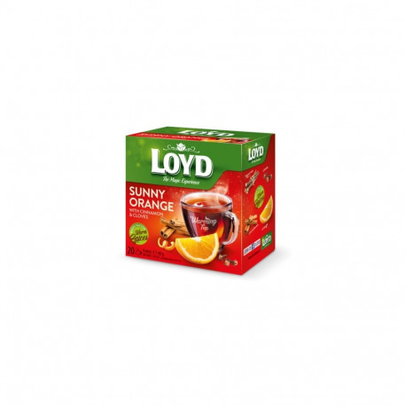 Tee LOYD apelsinikaneeli ja nelgimaitseline 20 x 2g