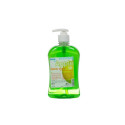Vedelseep Ewol SD Formula, õun, 500ml