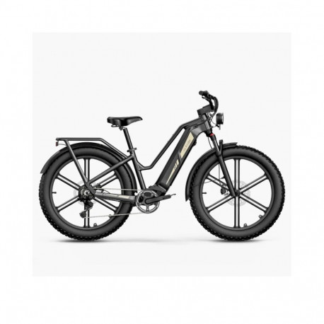 Elektrijalgratas FIIDO Titan, Grey