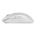 MSI VERSA 300 WIRELESS WHITE | Wireless | 2.4 GHz, Bluetooth, USB 2.0