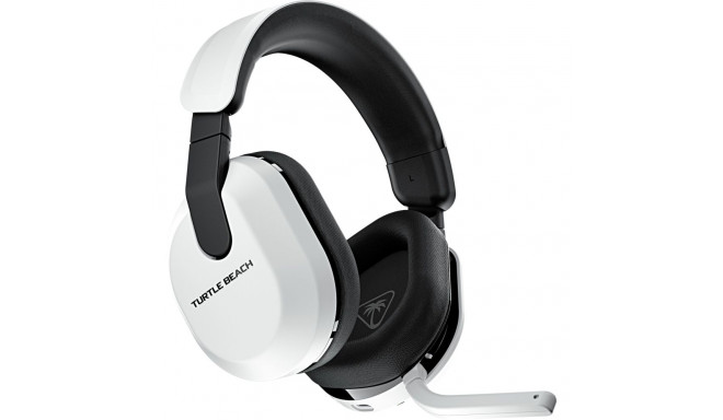 SW-550/800 Boden 2x (schwarz, 2 Stück)