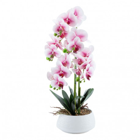 Orchid GREENLAND H68cm white pot, light pink flower