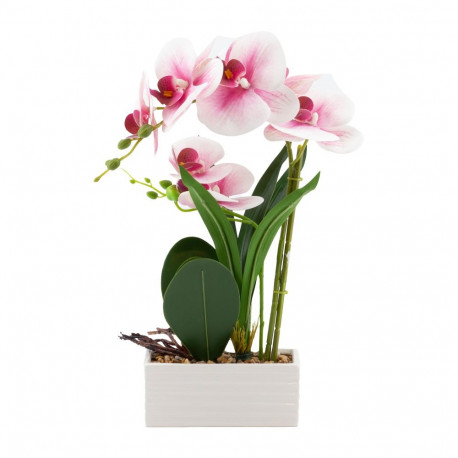 Orchid GREENLAND H41cm white pot, light pink flower