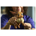 "72151 Pokmon Evoli"