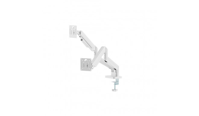 DISPLAY ACC MOUNTING ARM/DBL 17-32" MA-DA2-06-W GEMBIRD