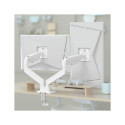 DISPLAY ACC MOUNTING ARM/DBL 17-32" MA-DA2-06-W GEMBIRD