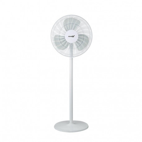 TABLE FAN FS40-18C STANDART